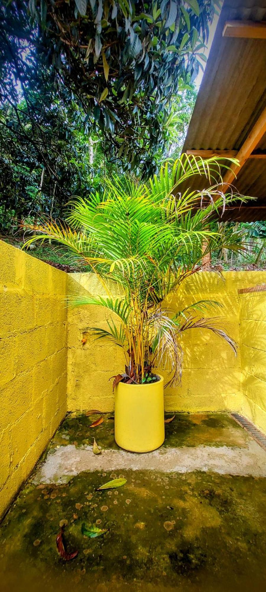 Hotel Rancho Acacia Sao Roque Exteriér fotografie
